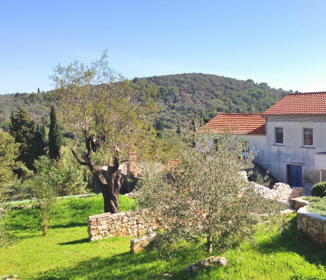 Harmonija * Žman